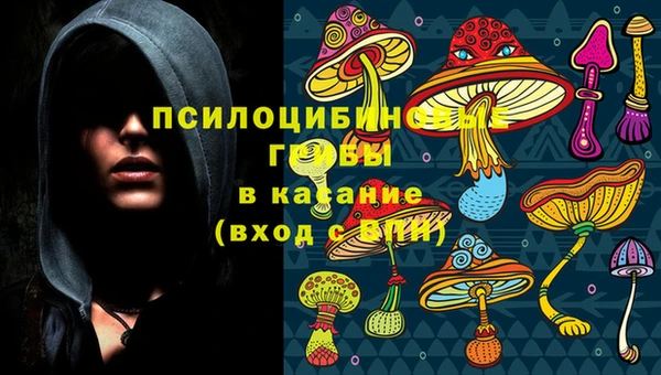 марихуана Инта