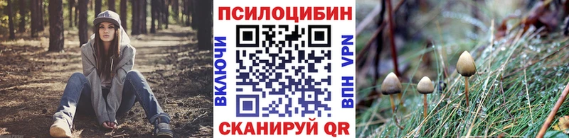 Псилоцибиновые грибы Magic Shrooms  Канаш 