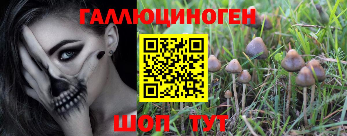 Галлюциногенные грибы прущие грибы  Псилоцибиновые грибы прущие грибы  Канаш  Вход с VPN 