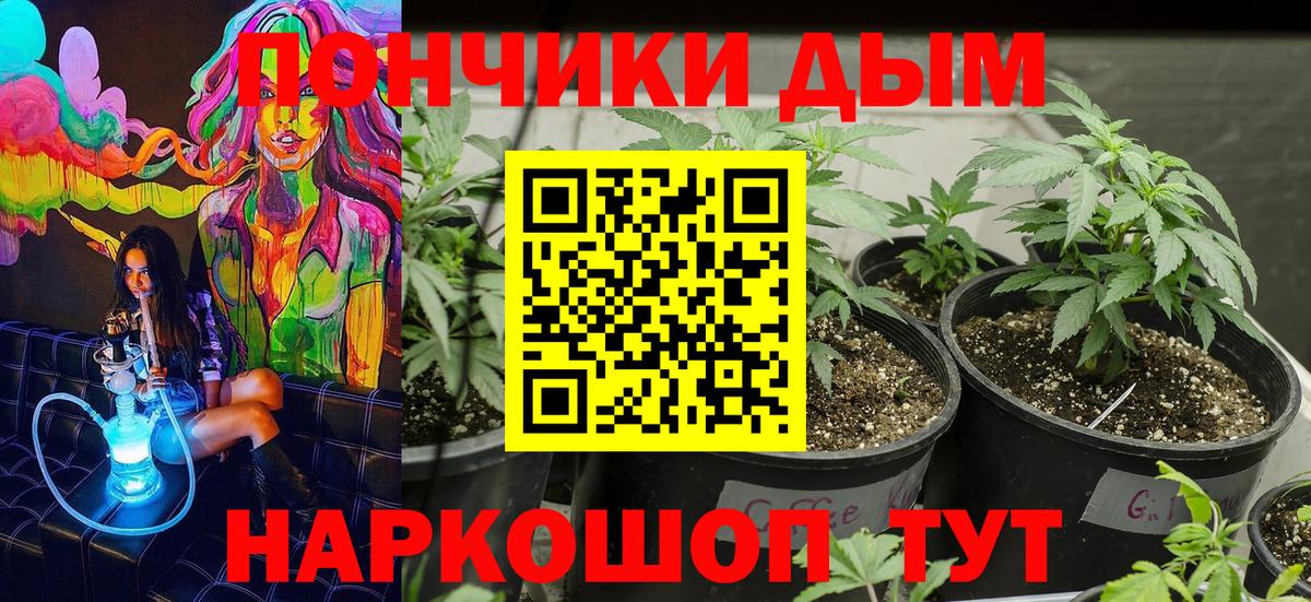 Марихуана семена Канаш